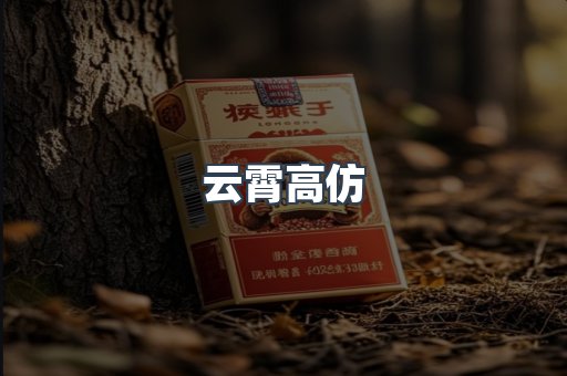 云霄高仿